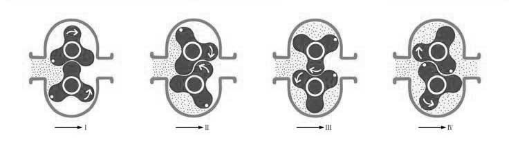 RP系列不鏽鋼(gang)轉子泵