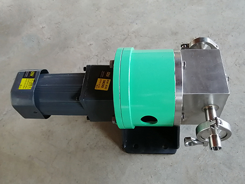 不鏽鋼(gāng)齒輪計量泵