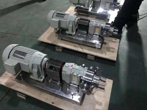 廣東保溫不鏽(xiù)鋼轉子泵