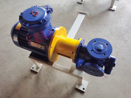 無洩漏磁力高粘(zhan)度齒輪泵