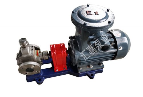 防(fáng)爆不鏽鋼圓弧(hu)齒輪泵