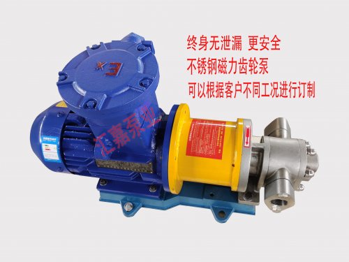 <b>磁力齒輪(lún)泵和常規(guī)齒輪泵的(de)區别有哪(nǎ)些？</b>