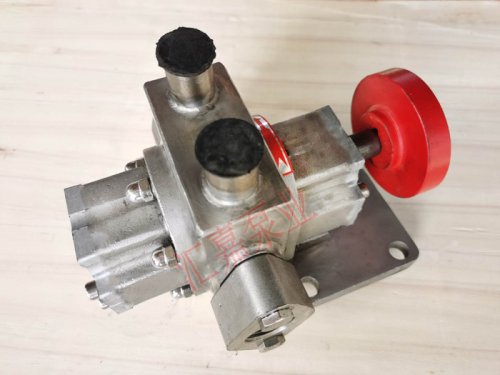 <strong>不鏽鋼(gāng)外潤滑保溫齒(chi)輪泵</strong>